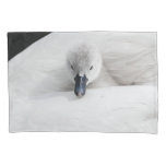 Personalized Custom photo Cygnet Swan pillowcase. Pillow Case