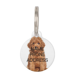 Personalized custom photo image name contact info pet ID tag