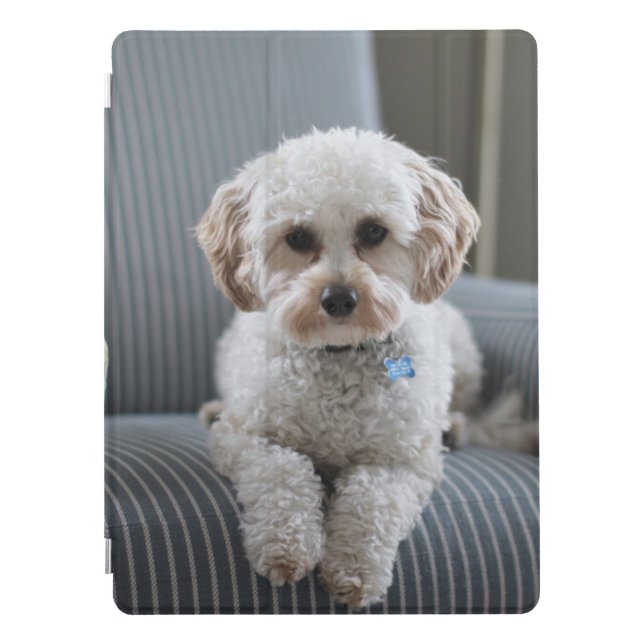 Personalized Custom Photo iPad Cover (Front)