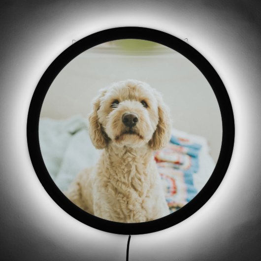 Personalized Custom Photo LED Sign (Front)