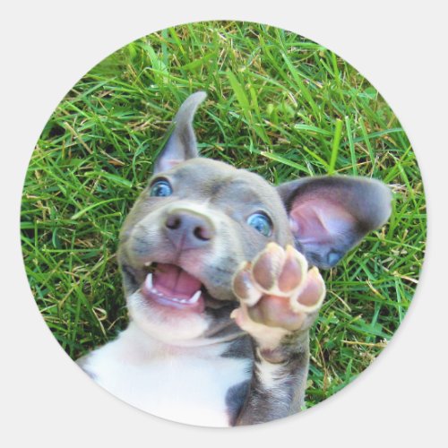 Personalized Custom Photo Puppy Dog Birthday Party Classic Round Sticker