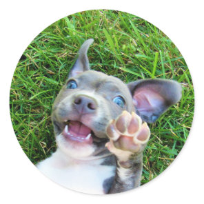 Personalized Custom Photo Puppy Dog Birthday Party Classic Round Sticker