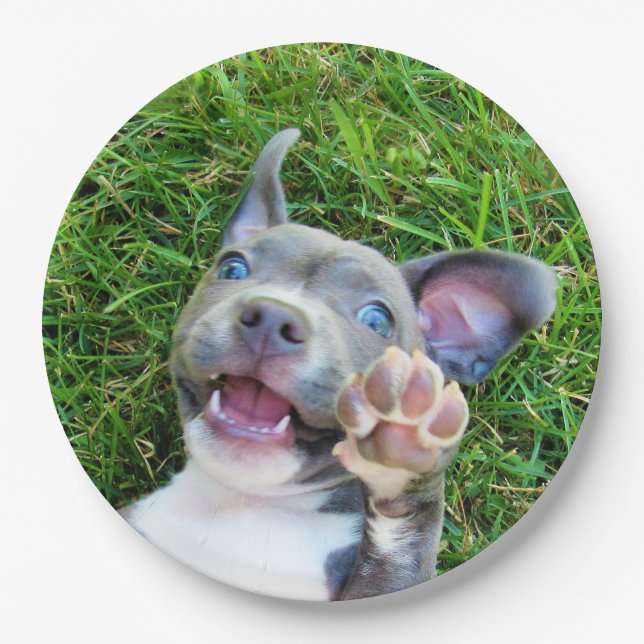 Personalized Custom Photo Puppy Dog Birthday Party Paper Plates (Front)
