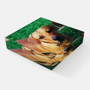 Personalized Custom Print Photo Paperweight