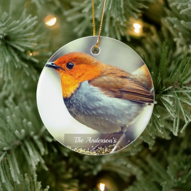 Personalized Custom Robin Bird Photo Ceramic Ornament (Tree)