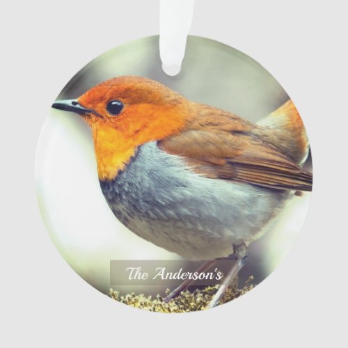 Personalized Custom Robin Bird Photo Ornament