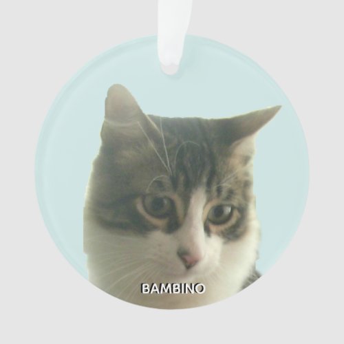 Personalized Custom Tabby Cat Photo on Light Blue Ornament