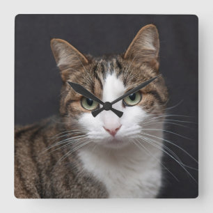Personalized Custom Tabby Cat Single Pet Photo Square Wall Clock