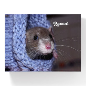 Personalized Cute Baby Pet Rat Paperweight