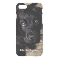 Personalized Cute Black Lab Puppy Dog Photo & Name