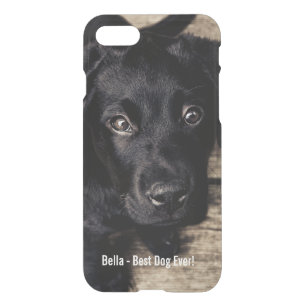 Personalized Cute Black Lab Puppy Dog Photo & Name iPhone SE/8/7 Case