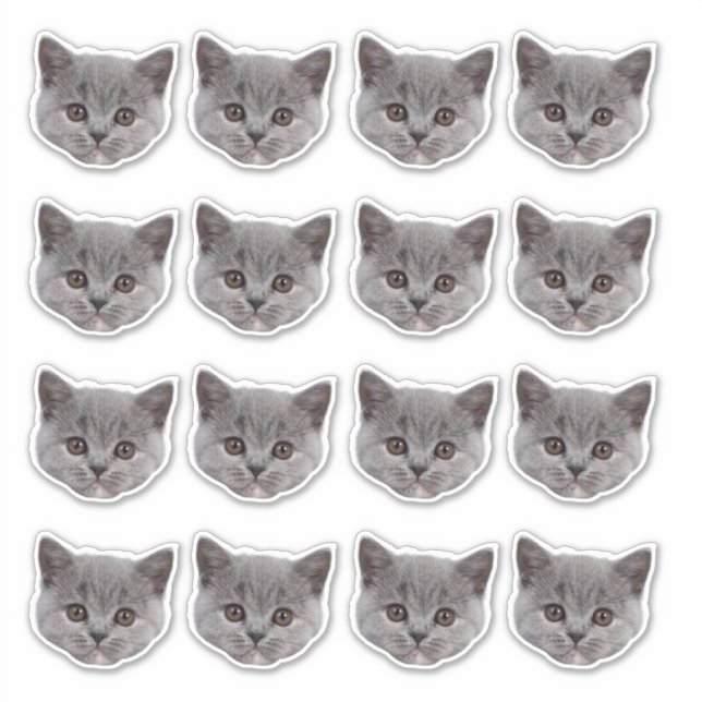 Personalized Cute Cat Face 16 Photos Vinyl Sticker (Front)
