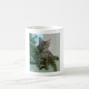 Personalized cute cat mugs