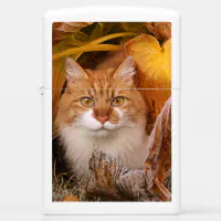 Personalized Cute Cat Zippo Lighter