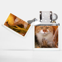 Personalized Cute Cat Zippo Lighter