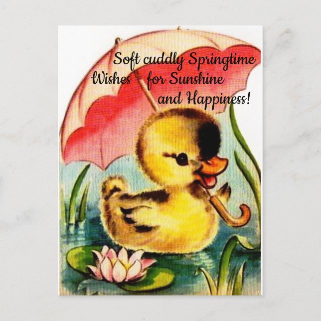 Personalized Cute Chic Spring Postcard (Front)