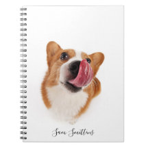 Personalized / Cute Corgi Photo