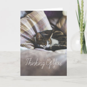 Personalized Cute Cosy Sleeping Cat Greetings Card