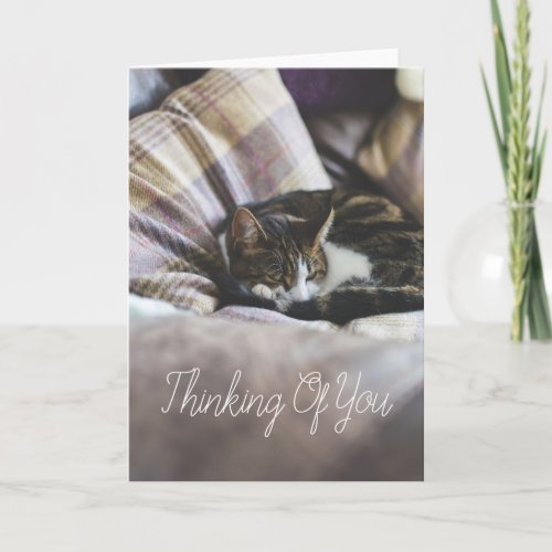 Personalized Cute Cosy Sleeping Cat Greetings Card