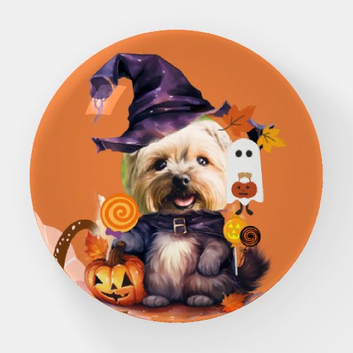 Personalized  Cute DogCat in Halloween costume Paperweight