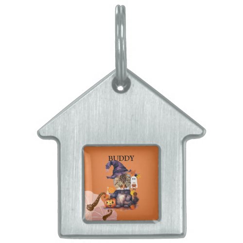 Personalized  Cute DogCat in Halloween costume Pet ID Tag
