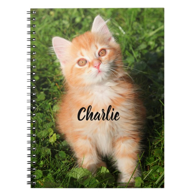 Personalized Cute Fluffy Orange Tabby Cat Kitten Notebook (Front)