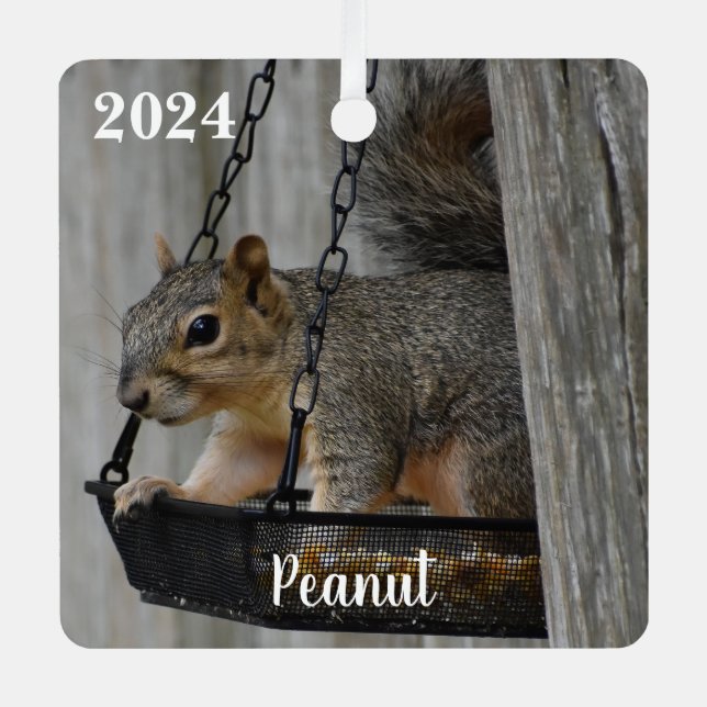 Personalized Cute Fox Squirrel Metal Ornament (Front)