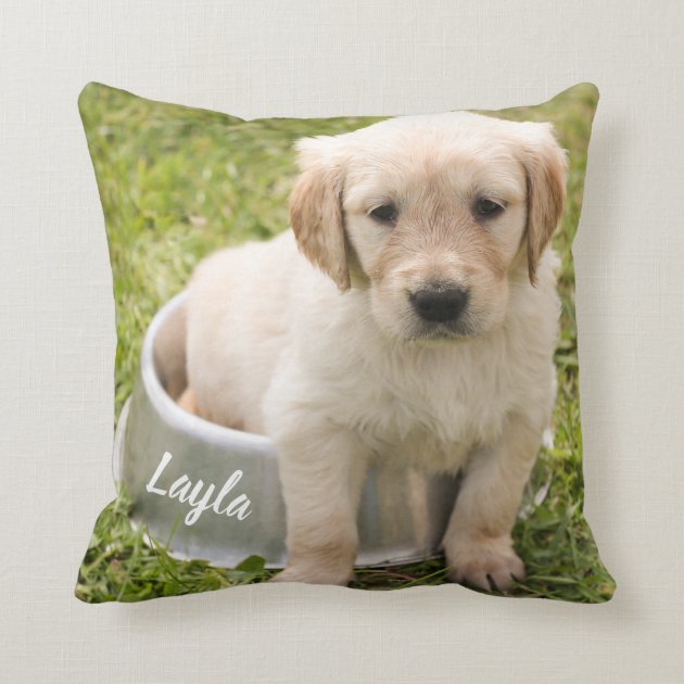 golden retriever throw pillow