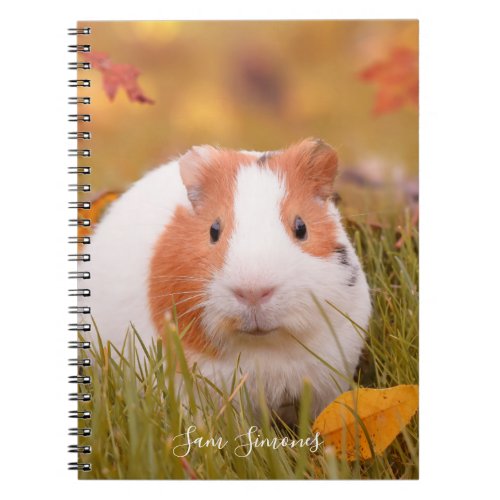 Personalized  Cute Guinea Pig  Autumn Leaves Notebook