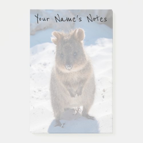 Personalized Cute  Happy Quokka on the Beach Post_it Notes