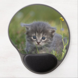 Personalized Cute Kitten Gel Mouse Pad