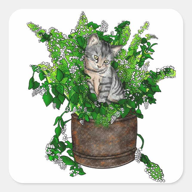 Personalized Cute Kitten in Catnip Pot  Square Sticker (Front)