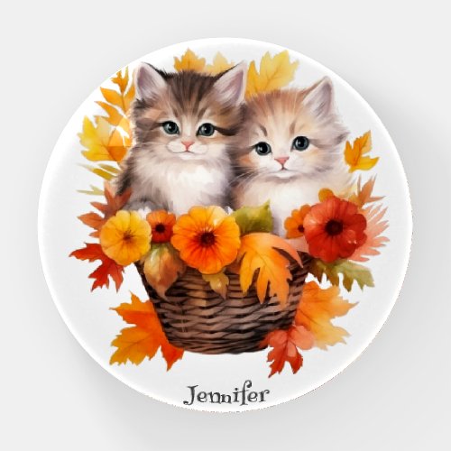 Personalized Cute Kittens Cats in Basket Paperweight