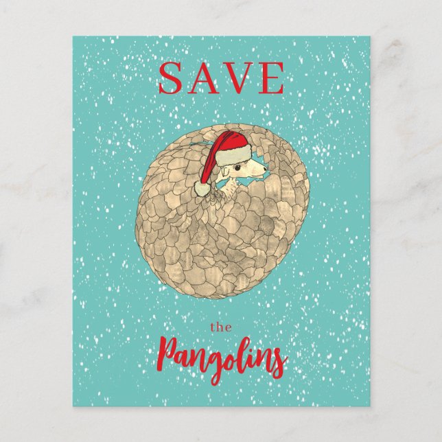 Personalized Cute Pangolin Christmas Budget (Front)