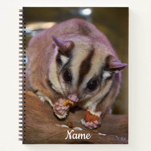 Personalized Cute Pet Sugar Glider Eating  Notebook