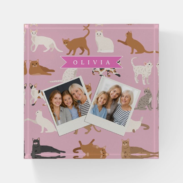 Personalized Cute Pink Cat Pattern Gift Cat Lover Paperweight (Front)
