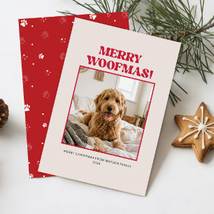 Personalized Cute Red Pet Photo Dog Christmas Holiday Card
