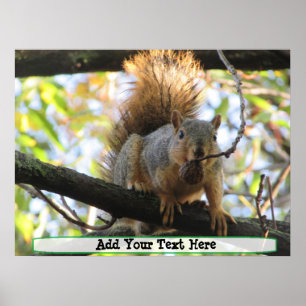 Personalized Cute Squirrel Humor Poster