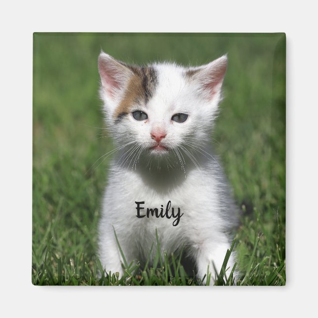 Personalized Cute White Kitten Magnet (Front)