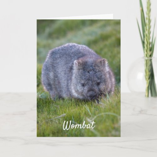 Personalized Cute Wombat Animal Tasmania Australia Card