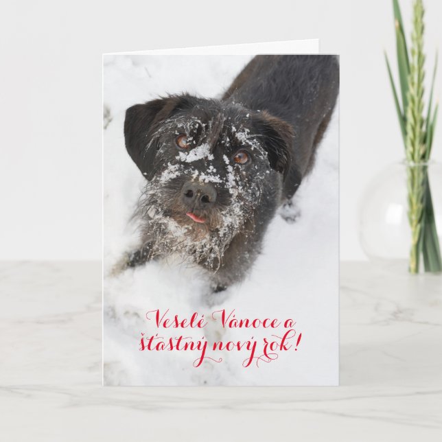 Personalized Czech language Christmas dog Holiday Card (Front)