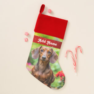 Personalized Dachshund Dog Christmas Stocking