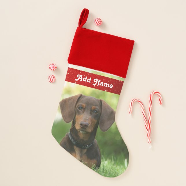 Personalized Dachshund Dog Christmas Stocking (Front)