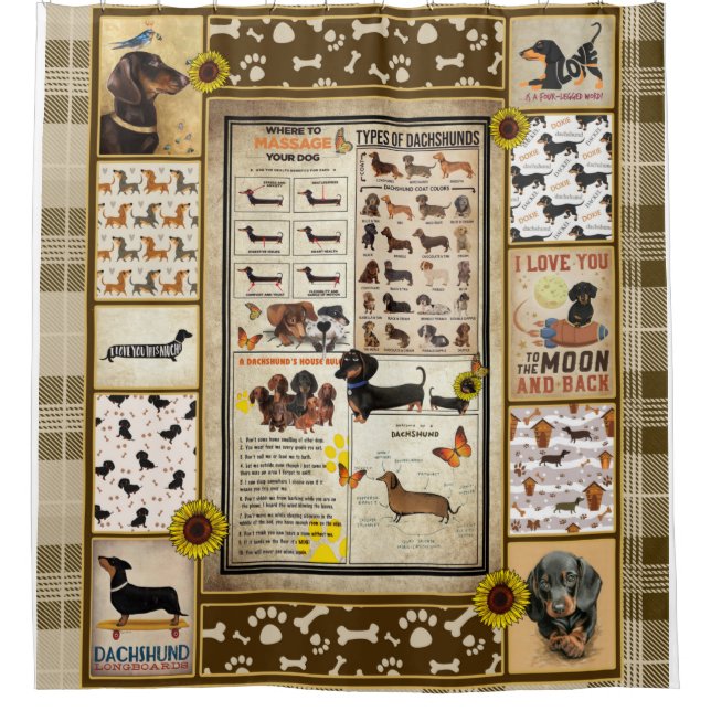 Personalized Dachshund Knowledge Beautiful Gift Shower Curtain (Front)