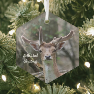 Personalized Deer Photo Christmas Ornament