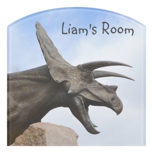 Personalized Dinosaur Room Door Sign (Contour Front)