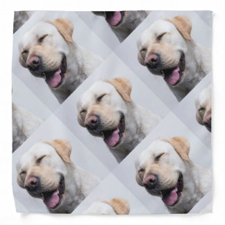 Personalized Dog Bandana