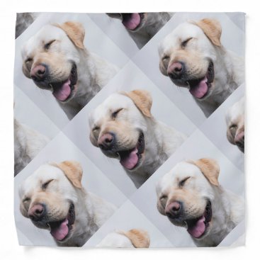 Personalized Dog Bandana