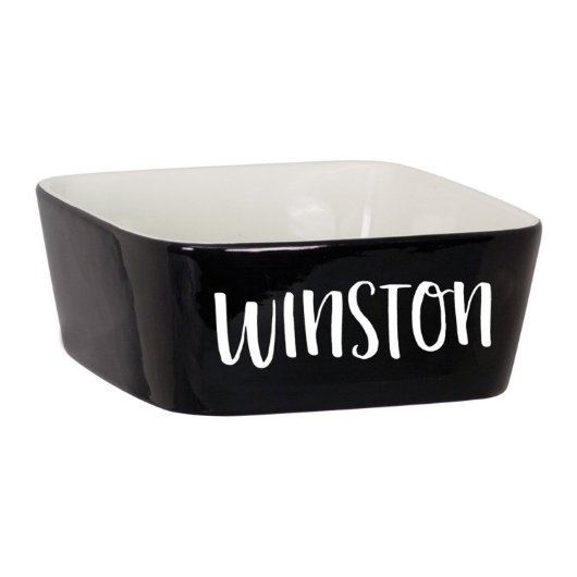 Personalized Dog Bowl With Custom Name 'Winston' (Black Bowl)