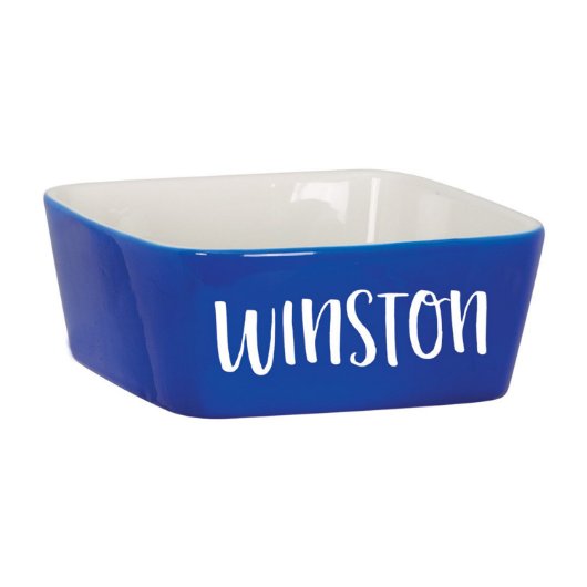 Personalized Dog Bowl With Custom Name 'Winston' (Blue Bowl)